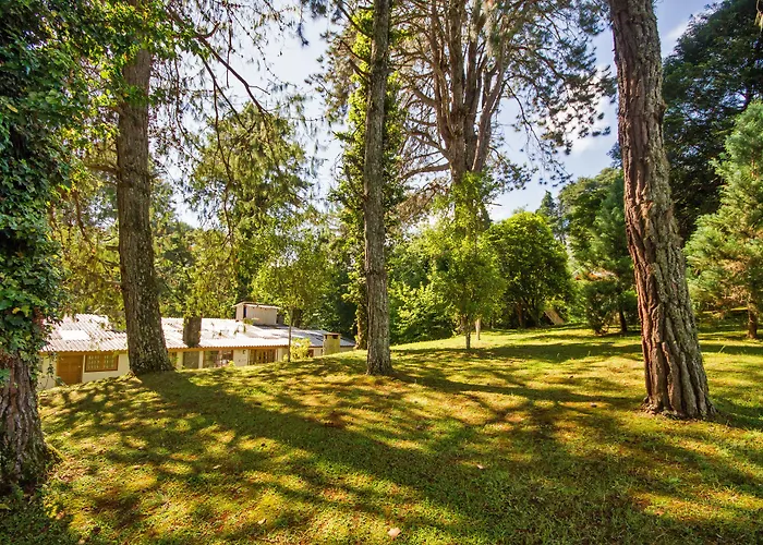 Villa Vintage Campos - Piscina e opções de suites com hidromassagem
